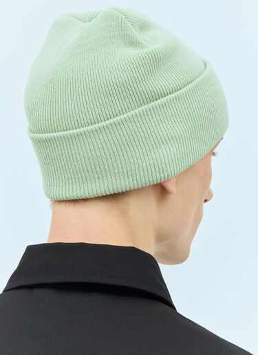 Carhartt WIP Ashley Beanie Hat Green wip0157008