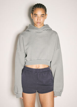 Alexander Wang Cropped Heavy Hooded Sweatshirt Grey awg0258007