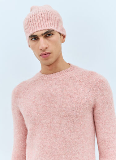 Dries Van Noten Wool-Blend Beanie Hat Pink dvn0158035