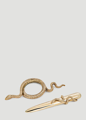 House of Today Snake Magnifying Glass Silver wps0638181
