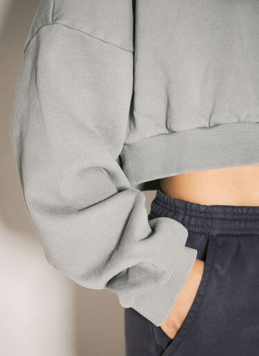 Entire Studios Cropped Heavy Hooded Sweatshirt Grey ent0257001