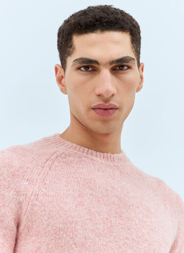 Dries Van Noten Melbourne Sweater Pink dvn0158022