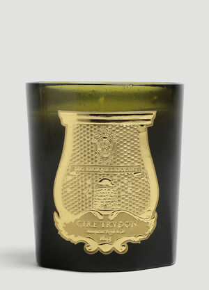 Trudon Ernesto Large Candle Green wps0644250