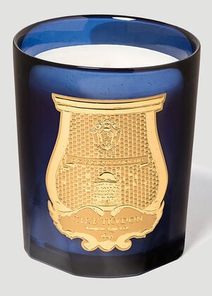 Trudon Tadine Candle Green wps0644250