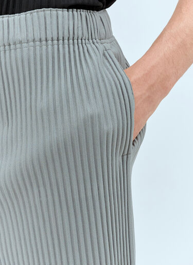 Homme Plissé Issey Miyake Pleated Shorts Grey hmp0157007