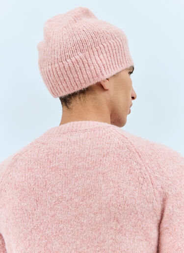 Dries Van Noten Wool-Blend Beanie Hat Pink dvn0158035