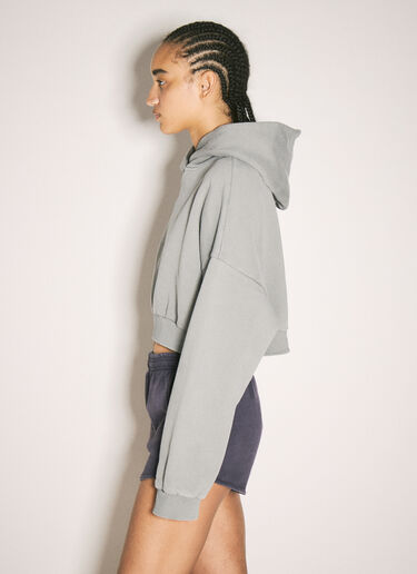 Entire Studios Cropped Heavy Hooded Sweatshirt Grey ent0257001