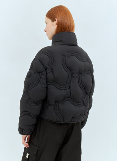 Moncler Beryl 短款羽绒服 深灰色 mon0258001