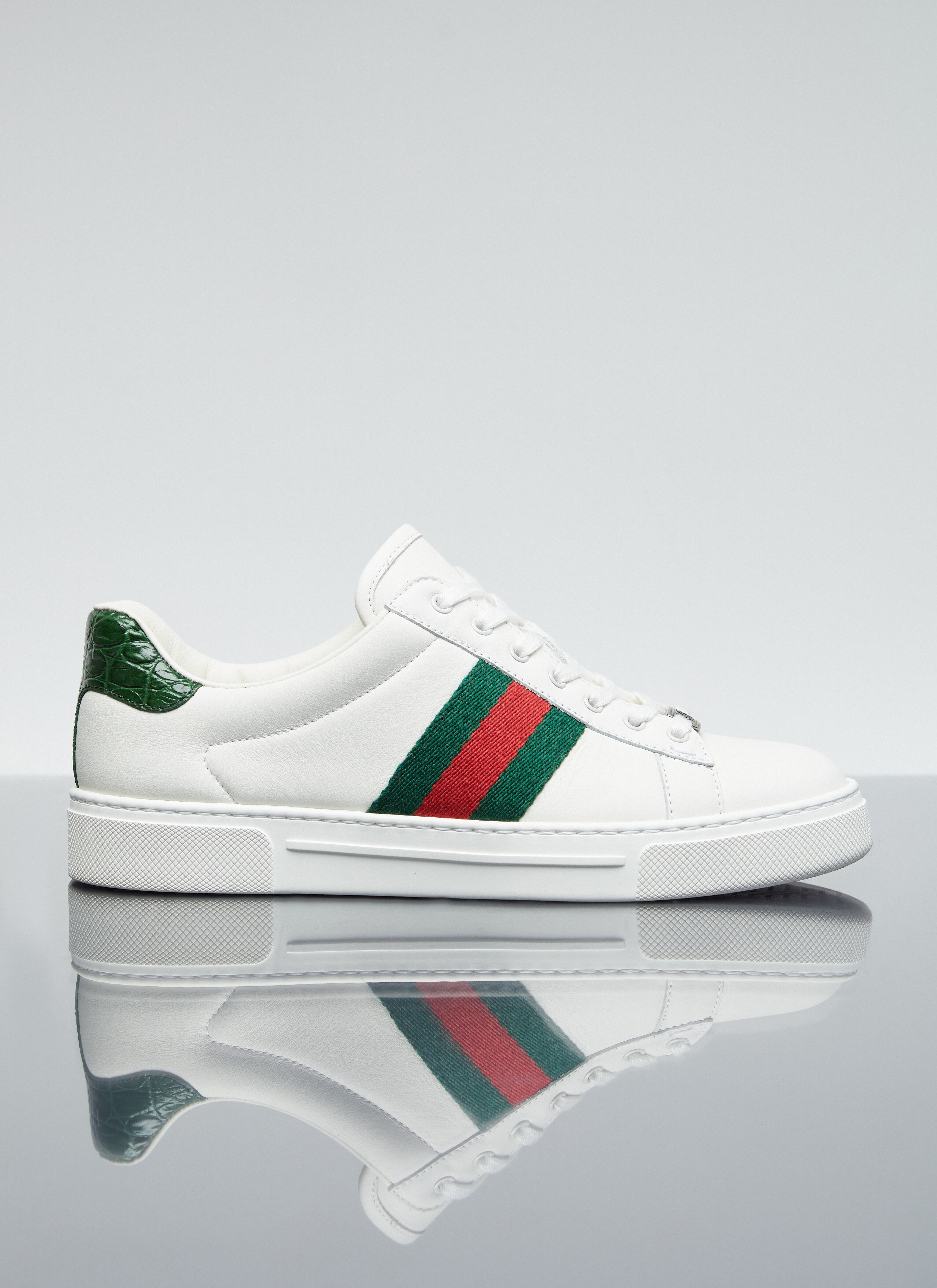 Dolce & Gabbana Ace Web Sneakers Multicolour dol0255023