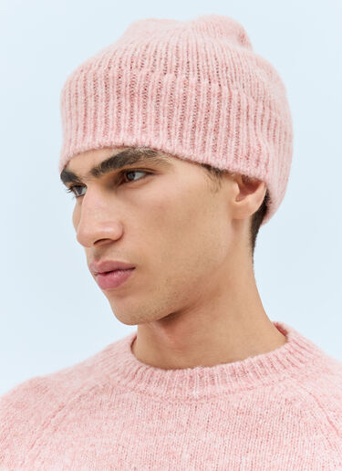 Dries Van Noten Wool-Blend Beanie Hat Pink dvn0158035